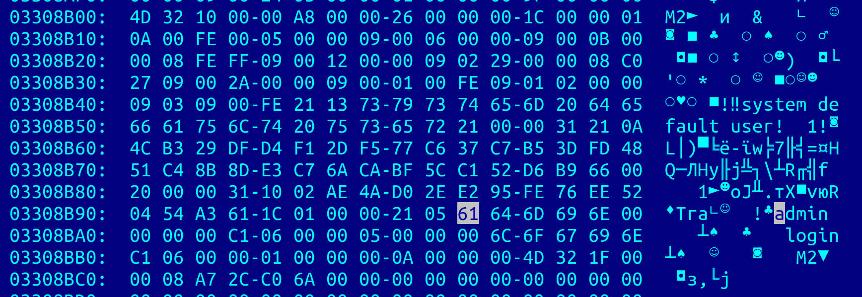 The login literal found in the hex editor